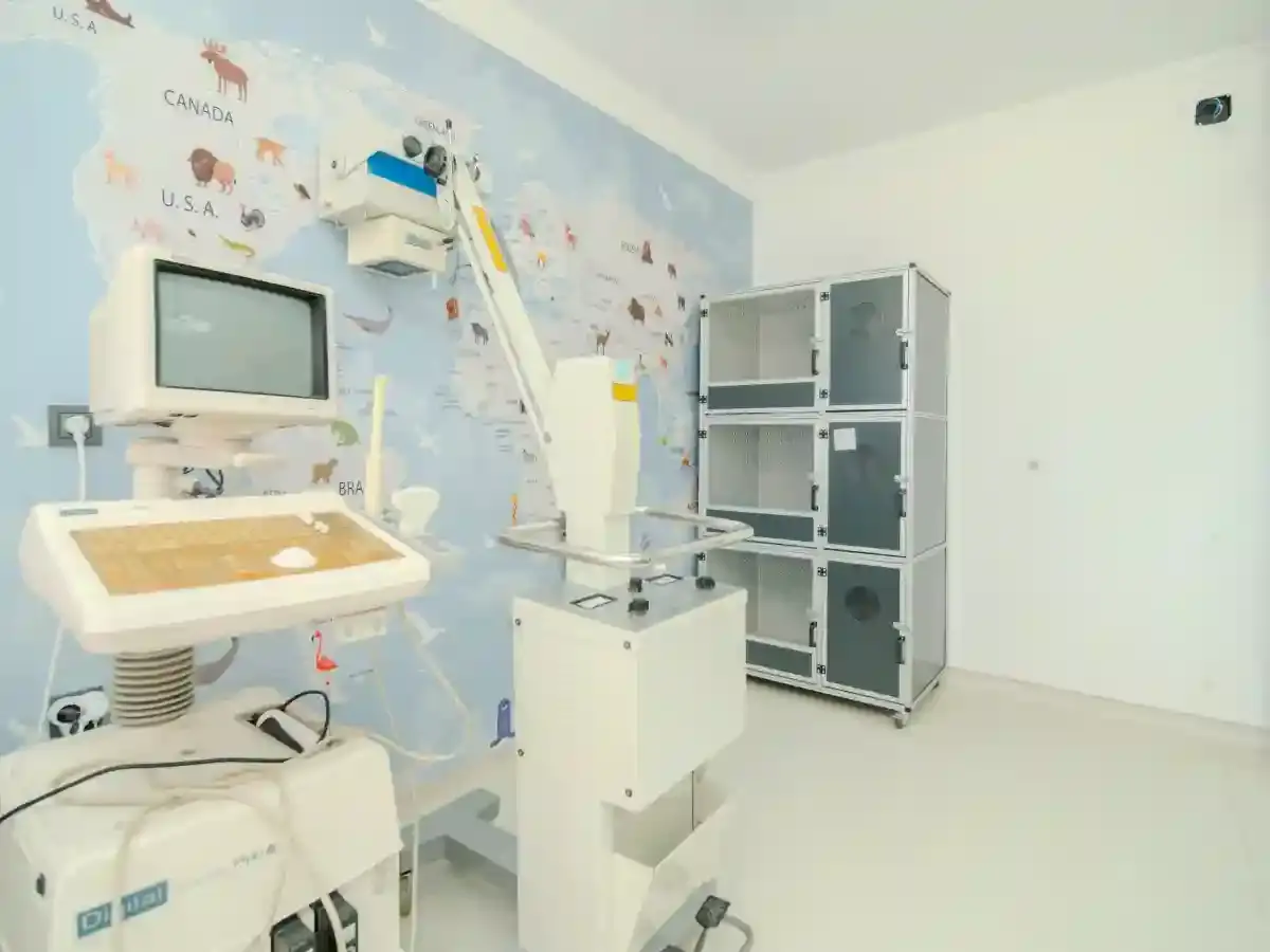 Yaşam Alanı 22